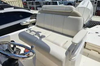 Thumbnail von Boston Whaler 250 Dauntless