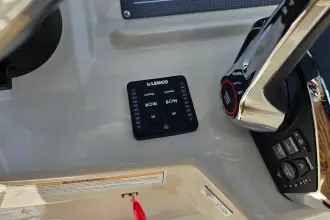 Thumbnail von Boston Whaler 250 Dauntless