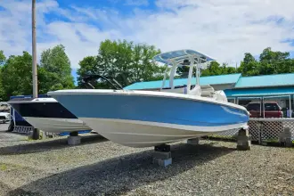 Thumbnail von Boston Whaler 250 Dauntless