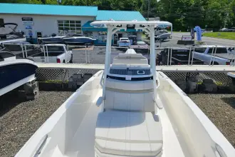 Thumbnail von Boston Whaler 250 Dauntless
