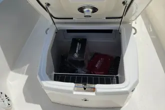 Thumbnail von Boston Whaler 250 Dauntless
