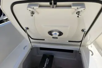 Thumbnail von Boston Whaler 250 Dauntless
