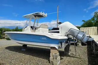 Thumbnail von Boston Whaler 250 Dauntless