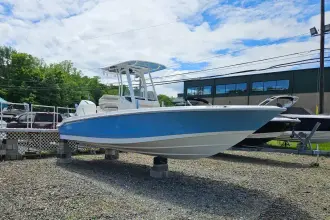 Thumbnail von Boston Whaler 250 Dauntless