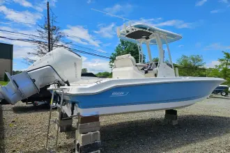 Thumbnail von Boston Whaler 250 Dauntless