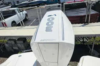 Thumbnail von Boston Whaler 250 Dauntless