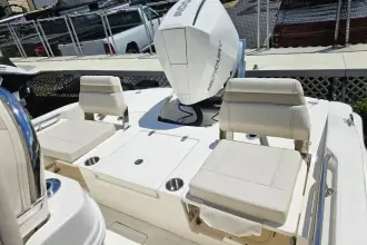 Thumbnail von Boston Whaler 250 Dauntless