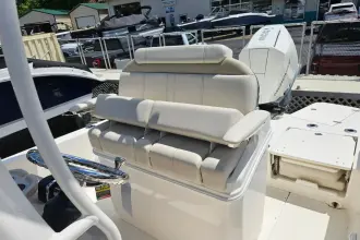 Thumbnail von Boston Whaler 250 Dauntless