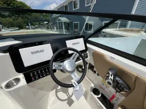 Thumbnail von Sea Ray SDX 250 Outboard