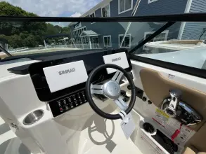Thumbnail von Sea Ray SDX 250 Outboard