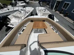 Thumbnail von Sea Ray SDX 250 Outboard