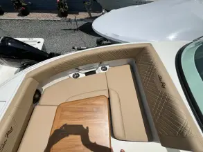 Thumbnail von Sea Ray SDX 250 Outboard