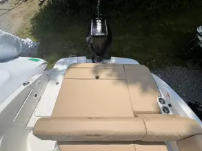 Thumbnail von Sea Ray SDX 250 Outboard