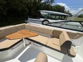 Thumbnail von Sea Ray SDX 250 Outboard