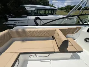 Thumbnail von Sea Ray SDX 250 Outboard