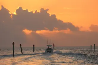Thumbnail von Boston Whaler 250 Outrage