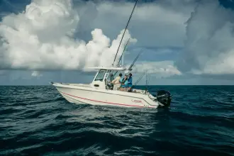Thumbnail von Boston Whaler 250 Outrage