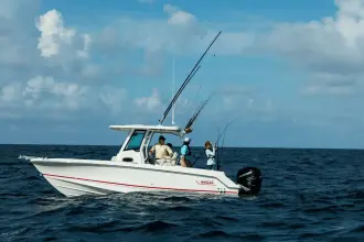Thumbnail von Boston Whaler 250 Outrage