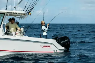 Thumbnail von Boston Whaler 250 Outrage