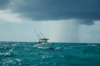 Thumbnail von Boston Whaler 250 Outrage