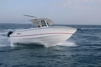 Thumbnail von Boston Whaler 250 Outrage