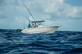 Thumbnail von Boston Whaler 250 Outrage