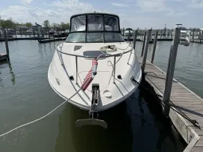 Thumbnail von Sea Ray 260 Sundancer