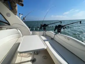 Thumbnail von Sea Ray 340 Sundancer