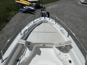 Thumbnail von Boston Whaler 250 Dauntless