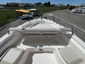 Thumbnail von Boston Whaler 250 Dauntless
