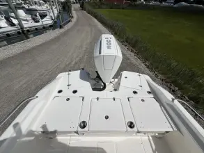 Thumbnail von Boston Whaler 250 Dauntless