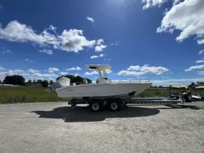 Thumbnail von Boston Whaler 250 Dauntless