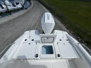 Thumbnail von Boston Whaler 250 Dauntless