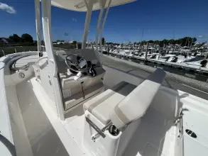 Thumbnail von Boston Whaler 250 Dauntless