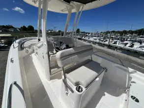 Thumbnail von Boston Whaler 250 Dauntless