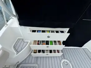 Thumbnail von Boston Whaler 315 Conquest
