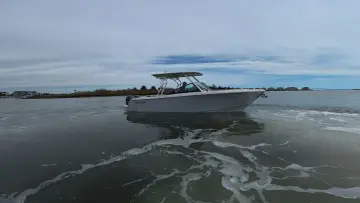 Thumbnail von Sailfish 276 DC