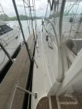 Thumbnail von Cruisers Yachts 4450 Express Bay Dreamer II