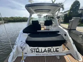 Thumbnail von Sea Ray 350 Sundancer