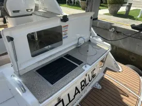 Thumbnail von Sea Ray 350 Sundancer