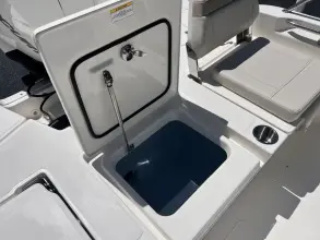 Thumbnail von Boston Whaler 250 Dauntless