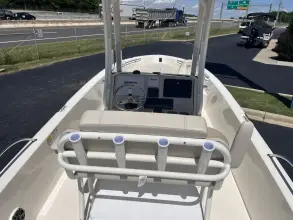 Thumbnail von Boston Whaler 250 Dauntless