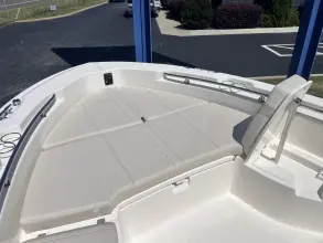 Thumbnail von Boston Whaler 250 Dauntless