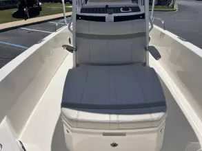 Thumbnail von Boston Whaler 250 Dauntless
