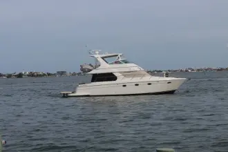Thumbnail von Carver 46 Voyager Clear 2 Close