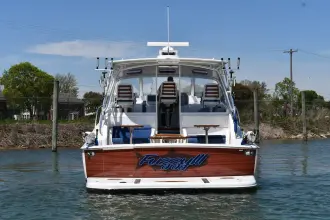 Thumbnail von Viking 42 Open FUZZY III