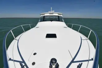 Thumbnail von Viking 42 Open FUZZY III