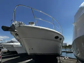 Thumbnail von Sea Ray 380 Sundancer