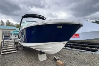 Sea Ray SDX 250