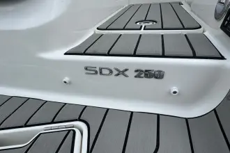 Thumbnail von Sea Ray SDX 250